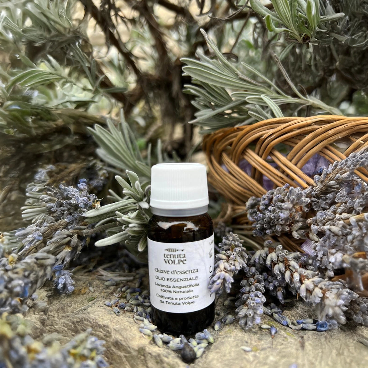 Olio Essenziale di Lavanda Angustifolia 100% Naturale