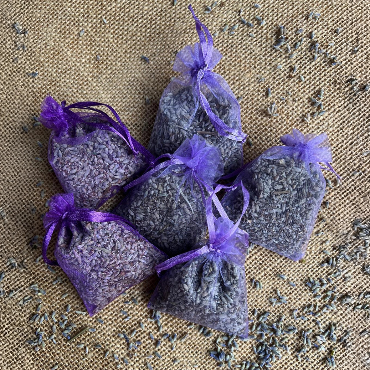 Sacchetto di Fiori di Lavanda Angustifolia coltivati e prodotti da Tenuta Volpe