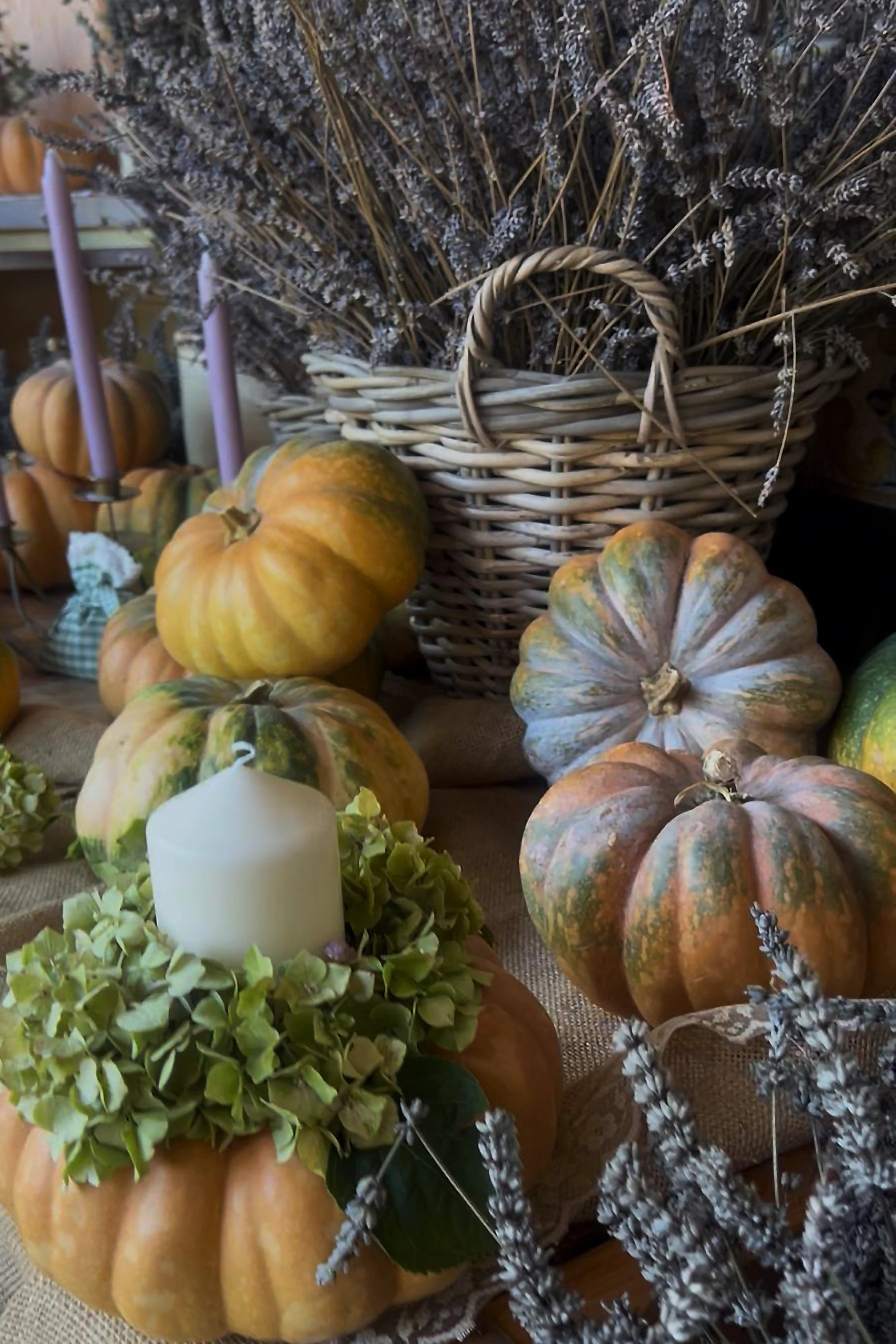 Poesie d’autunno “la zucca in fiore”